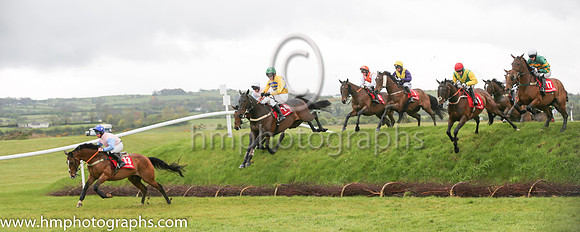 04th Wish Ye Didnt ( 17 , orange and green hoops ) and R.W. Barron (7) - Trainer : E. Bolger - Owner : John P. McManus