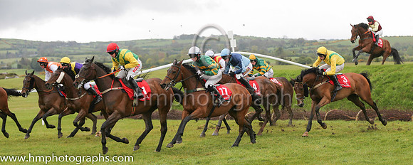 04th Wish Ye Didnt ( 17 , orange and green hoops ) and R.W. Barron (7) - Trainer : E. Bolger - Owner : John P. McManus