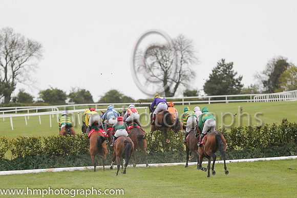 04th Wish Ye Didnt ( 17 , orange and green hoops ) and R.W. Barron (7) - Trainer : E. Bolger - Owner : John P. McManus