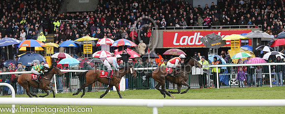 02nd Federici (GB) ( 2 , red, yellow braces ) and A.P. Heskin - Trainer : E. Bolger - Owner : J. Glews