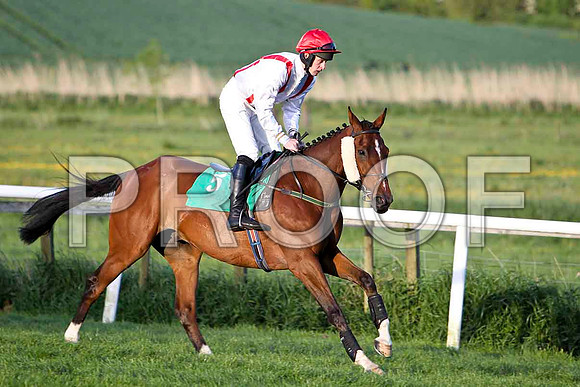 Jamsie Hall , Winner , Jockey - Mr M J O'Hare - FT8E3152-e