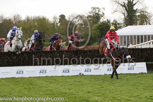08th Adrenalin Flight ( 14 , red, blue stars ) and D.E. Mullins - Trainer : Seamus Mullins (in GB) - Owner : Mark Adams