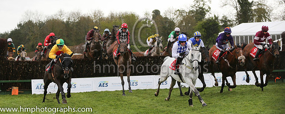 09th Top Dancer (FR) ( 20 , purple, beige star ) and G. Sheehan - Trainer : Warren Greatrex (in GB) - Owner : The Lone Star Partnership