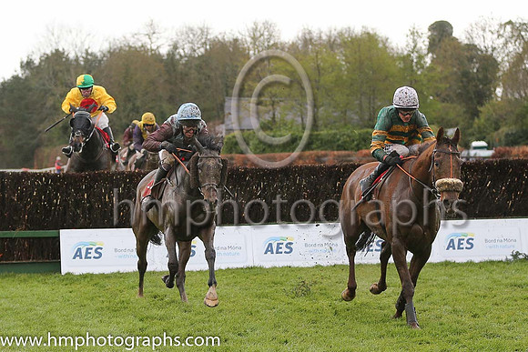 03rd Embracing Change ( 8 , yellow, red disc ) and D.J. Casey - Trainer : Robert Tyner - Owner : F.A. O'Neill