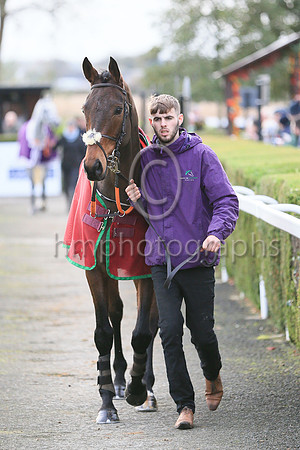 An entry in the Sixth Race at Down Royal on 4th November 2022