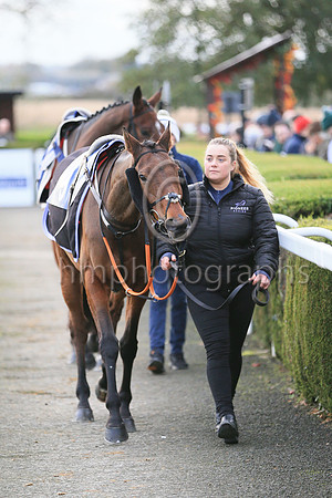 An entry in the Sixth Race at Down Royal on 4th November 2022