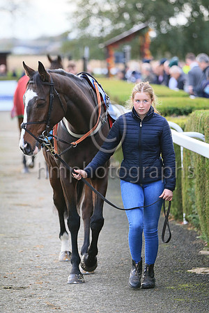 An entry in the Sixth Race at Down Royal on 4th November 2022