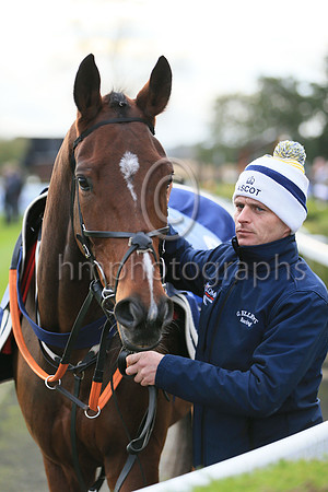 An entry in the Sixth Race at Down Royal on 4th November 2022