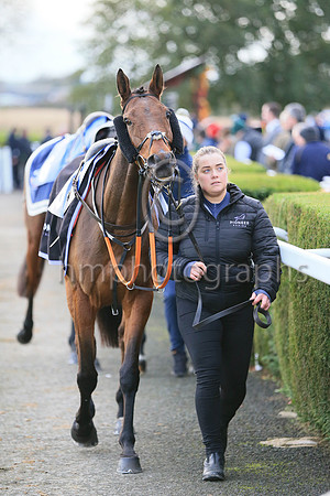 An entry in the Sixth Race at Down Royal on 4th November 2022