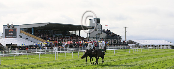 Racing in front of packed stands on Day 1 of the Ladbrokes Festival of Racing at Down Royal