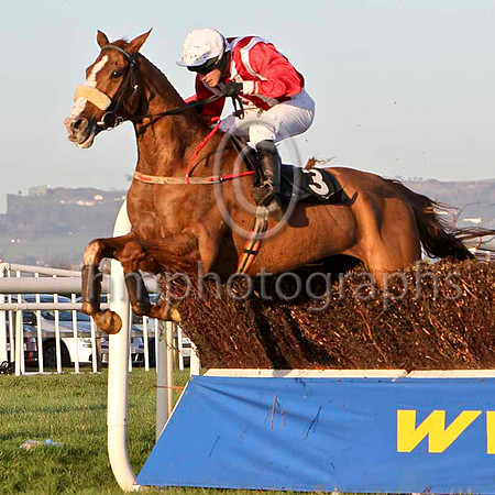 Leggy Lad - Winner , Jockey Mr M McConville - FT8E7213-e