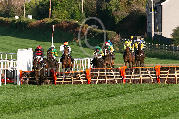 01st Nibiru (9 , green ) Jockey: P T Enright , Trainer: A J Martin