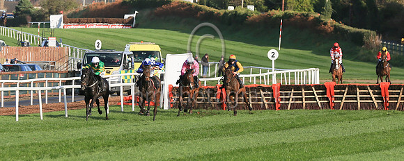 01st Cougar (1 , green and orange ) Jockey: M P Walsh , Trainer: Padraig Roche