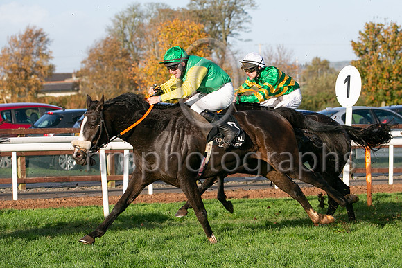 01st Nibiru (9 , green ) Jockey: P T Enright , Trainer: A J Martin