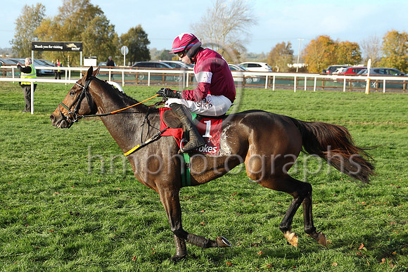 05th Beacon Edge (1 , maroon, white star, maroon cap white star ) Jockey: B J Cooper , Trainer: Noel Meade