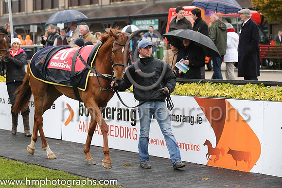 07th Needie ( 20 , blue, yellow stars ) and R.A. Doyle (7) - Trainer : Martin Brassil - Owner : J.C.Harley