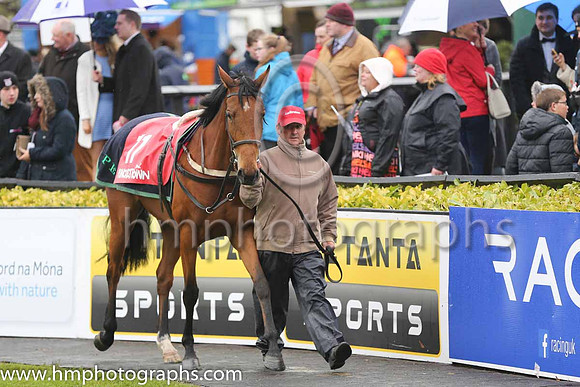 09th Blond Lucy ( 11 , blue, green sleeves ) and S.G. Carey (5) - Trainer : Kieran P Egan - Owner : P.P.Egan