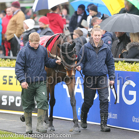 Punchestown Parade Ring
