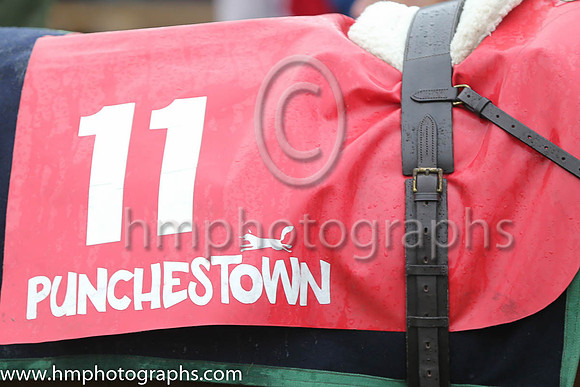 Punchestown