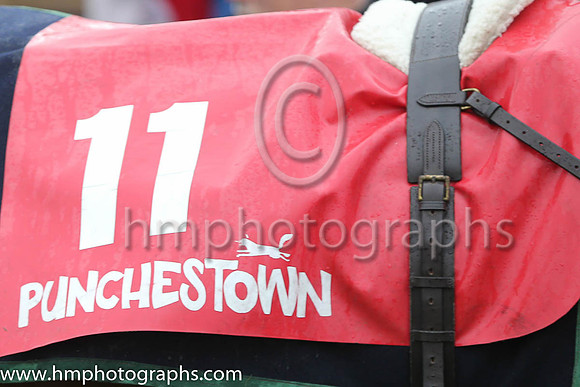 Punchestown