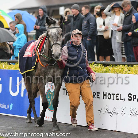 Punchestown Parade Ring