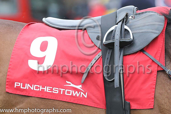 Punchestown