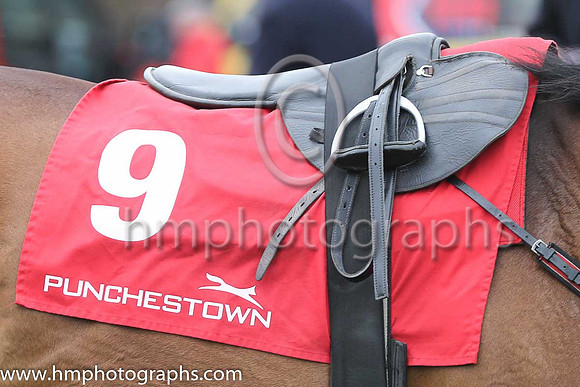 Punchestown