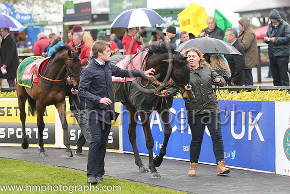 Punchestown Parade Ring