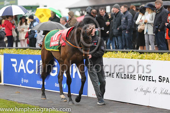 06th Everyday Everyhour (GB) ( 17 , maroon, white star ) and D.G. Lavery (5) - Trainer : P.M.J.Doyle - Owner : Gigginstown House Stud