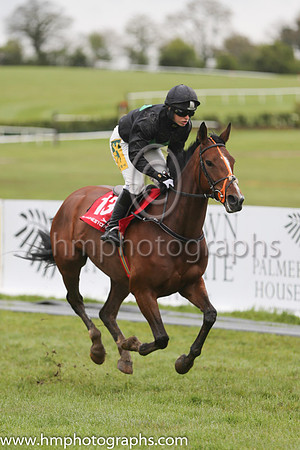 08th Lady Bradley ( 13 , black, three green diamonds ) and K. Harrington (5) - Trainer : Mrs John Harrington - Owner : Stephen Hemstock