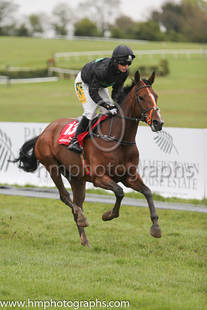 08th Lady Bradley ( 13 , black, three green diamonds ) and K. Harrington (5) - Trainer : Mrs John Harrington - Owner : Stephen Hemstock