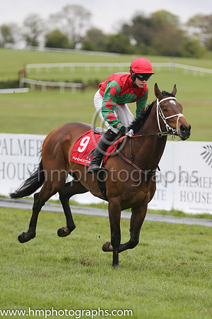 05th Whispering Storm (GER) ( 9 , red, green disc ) and F.Maguire (7) - Trainer : Adrian Maguire - Owner : Masterson Holdings Limited