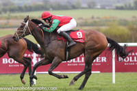 2015/05/02nd  - Day 5 race 7 Punchestown Family Day