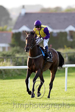 CU2D4071-e