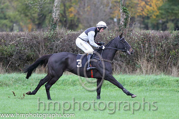 10 Ballycamp & Derek O'Connor - PU (3, black and white qtrd) - FT8E9344-11