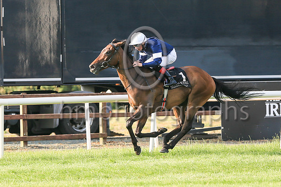 01st Master of Reality and Declan McDonogh (1, dark blue, white armlets) winners Her Majesty's Plate (Listed Race) at Down Royal on Friday 23rd July 2021