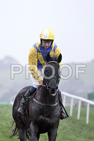 Koko Lane , Winner , Jockey - Mr P W Mullins - FT8E5599-e2