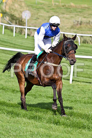 Sher Fountin, 13th Jockey M J Ferris - CU2D1782-e