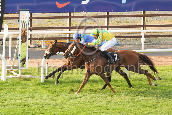 New Sodiety and Sorcha Woods (1, royal blue, emerald green chevron ) in the lead to win the Molson Coors Beverage Company Apprentice Handicap at Down Royal on Friday 23rd July 2021