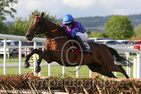 01st Mustadrik (USA) ( 19 , blue and purple hoops ) and J.W. Kennedy (7) - Trainer : Gordon Elliott - Owner : Richard Gilbert