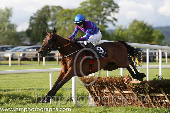 01st Mustadrik (USA) ( 19 , blue and purple hoops ) and J.W. Kennedy (7) - Trainer : Gordon Elliott - Owner : Richard Gilbert