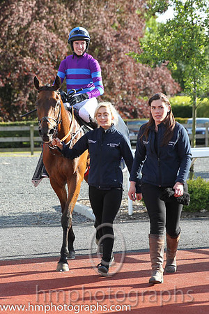 01st Mustadrik (USA) ( 19 , blue and purple hoops ) and J.W. Kennedy (7) - Trainer : Gordon Elliott - Owner : Richard Gilbert