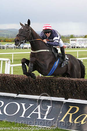 01st As De Pique ( 8 , white and blue hoop ) and J.B. Kane (7) - Trainer : Gavin Cromwell - Owner : Ms. A. Cromwell