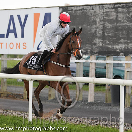 17th F Saint Elm (FR) ( 15 , grey, red cap ) and B.S. Hughes - Trainer : Patrick Griffin - Owner : M. Deren