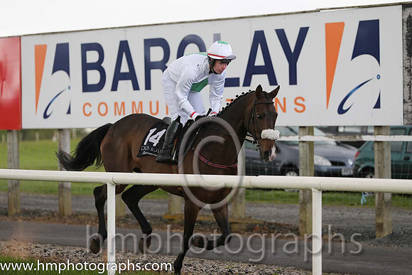 13th Nidge ( 14 , white, green star ) and S.E. Butler (5) - Trainer : John J. Maguire - Owner : John J. Maguire
