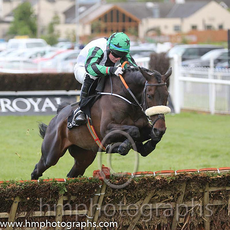 03rd Bay Of Freedom ( 2 , white, black stripe ) and L.P. Dempsey (5) - Trainer : Peter Fahey - Owner : Paul Leech