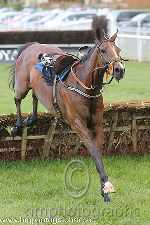 17th F Saint Elm (FR) ( 15 , yellow, black seams ) and B.S. Hughes - Trainer : Patrick Griffin - Owner : M. Deren