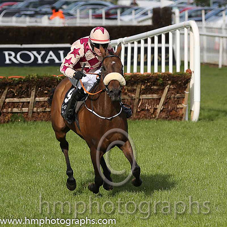 02nd Crystal Earth ( 9 , red and beige diamonds ) and S.E. Butler (5) - Trainer : Peter Fahey - Owner : Gilbert de Meester