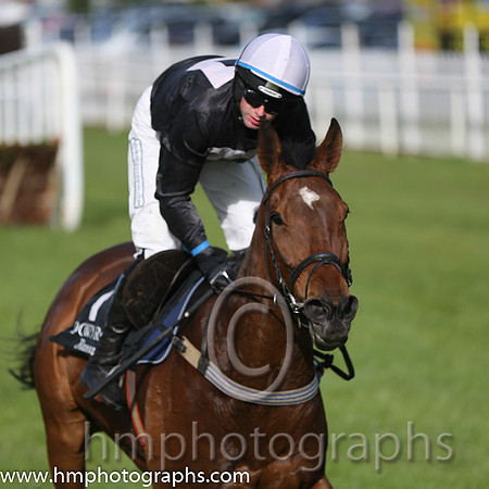 06th Shake The Bucket ( 7 , black, pink hollow panel ) and N.P. Madden - Trainer : Niall Madden - Owner : Ms. Sarah Ann Madden