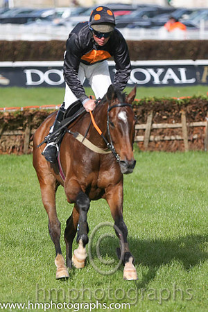 07th The King Of Brega ( 2 , black, orange spot ) and B.M. Cash - Trainer : Patrick Downey - Owner : BMW Partnership